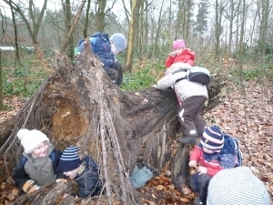 Wald - Kinder spielen auf einem Baumstumpf